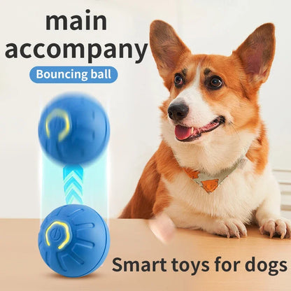 Endless Fun for Your Furry Friend: Smart Dog Toy Ball