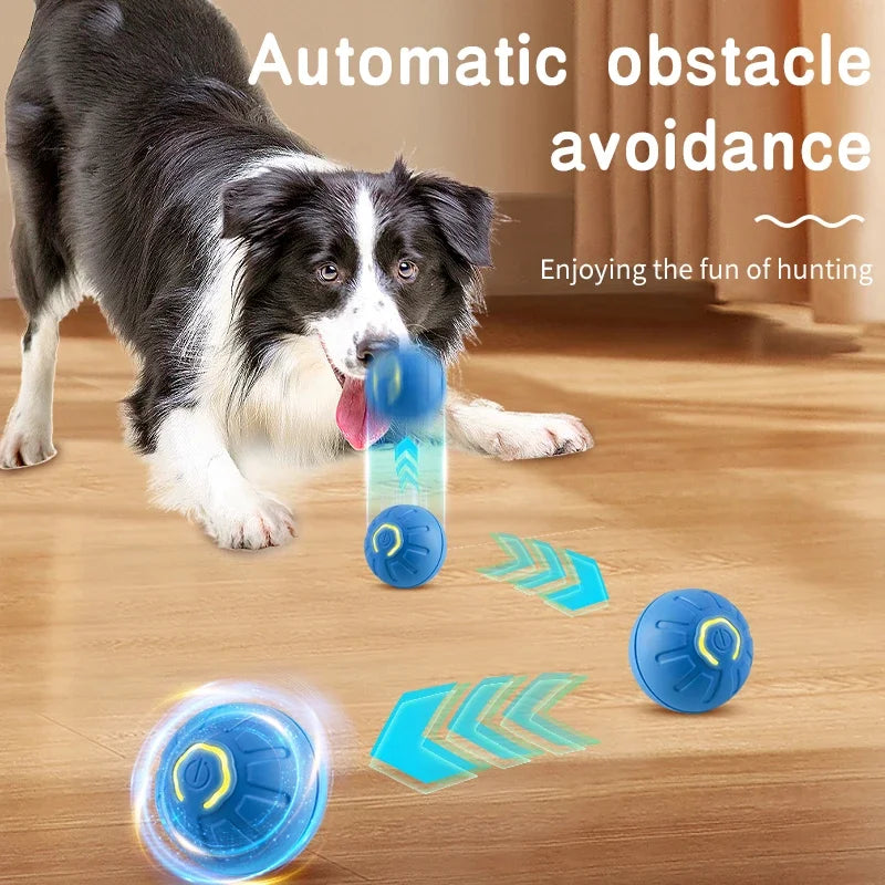 Endless Fun for Your Furry Friend: Smart Dog Toy Ball